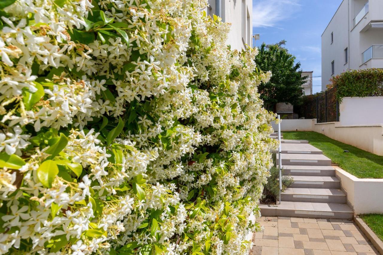 Villa Mirela เพทรอซาเน ภายนอก รูปภาพ